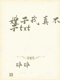 嫂子我真不是傻子txt