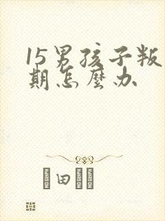 15男孩子叛逆期怎么办