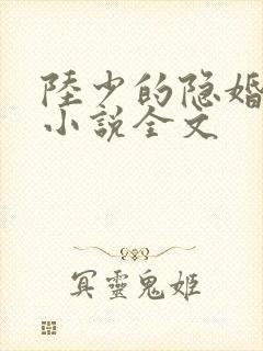 陆少的隐婚罪妻小说全文