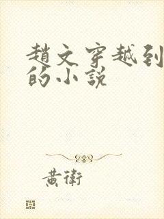 赵文穿越到明朝的小说