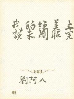 我的绝美上司小说未删版完整