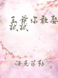 王爷你敢娶小三试试