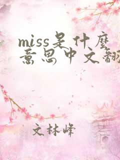 miss是什么意思中文翻译