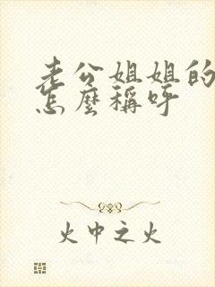 老公姐姐的丈夫怎么称呼