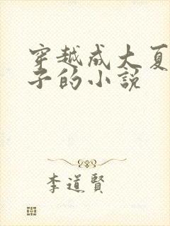 穿越成大夏九皇子的小说