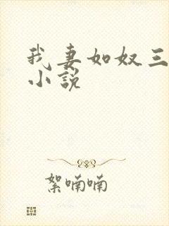 我妻如奴三部曲小说