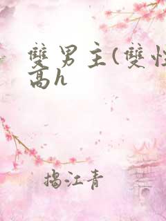 双男主(双性)高h