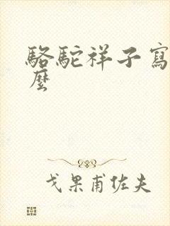 骆驼祥子写了什么