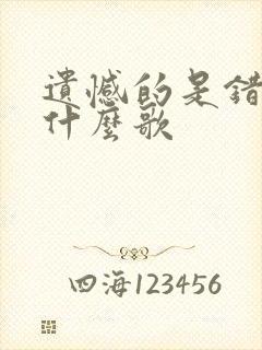 遗憾的是错过是什么歌