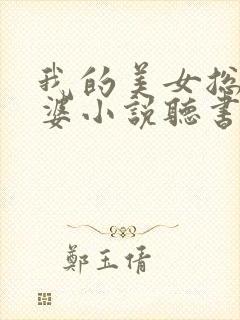 我的美女总裁老婆小说听书