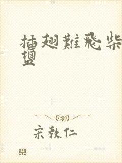 插翅难飞柴米油盐