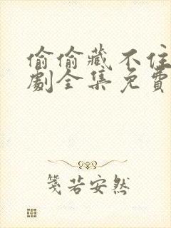 偷偷藏不住电视剧全集免费11