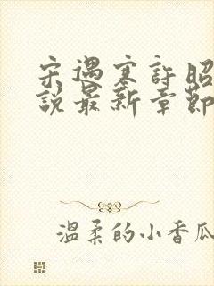 宋遇寒许昭宁小说最新章节免费阅读