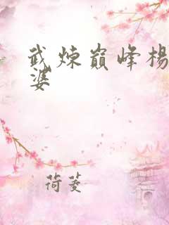 武炼巅峰杨开老婆