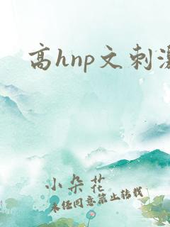高hnp文刺激