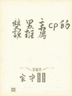 双男主cp的小说推荐