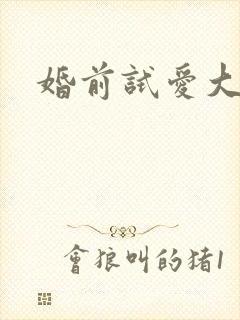 婚前试爱大全