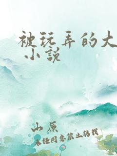 被玩弄的大小姐 小说