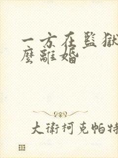 一方在监狱,怎么离婚