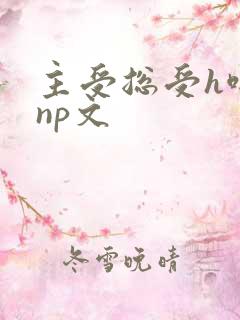 主受总受h啪肉np文