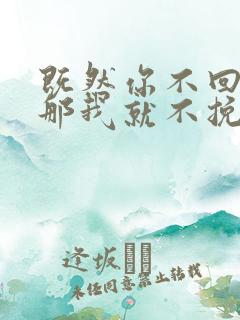 既然你不回头,那我就不挽留是什么歌