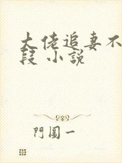 大佬追妻不择手段 小说