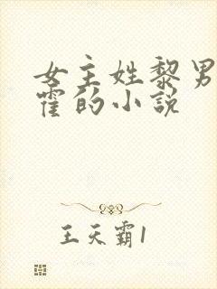 女主姓黎男主姓霍的小说