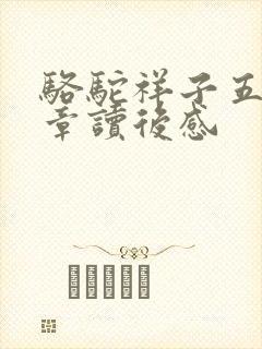 骆驼祥子五到八章读后感