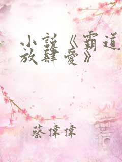 小说《霸道总裁放肆爱》