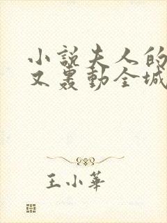 小说夫人的马甲又轰动全城了