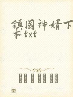 镇国神婿下载全本txt