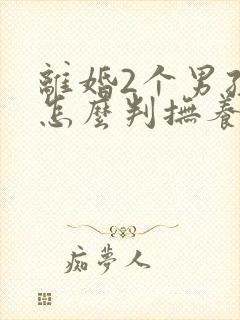 离婚2个男孩子怎么判抚养权