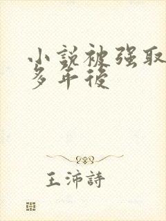 小说被强取豪夺多年后