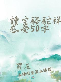读完骆驼祥子的感受50字