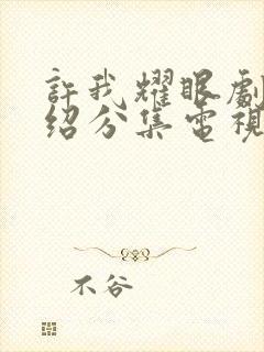 许我耀眼剧情介绍分集电视猫