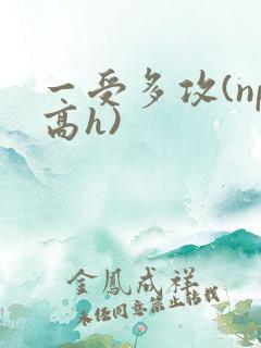 一受多攻(np高h)