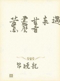 苦尽甘来遇见你怎么看