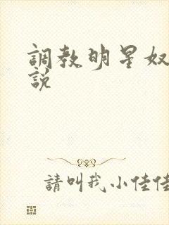 调教明星奴隶小说