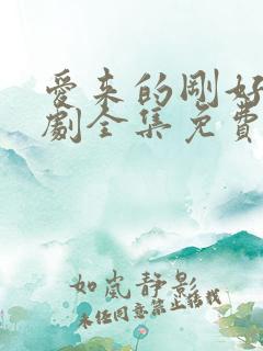 爱来的刚好电视剧全集免费观看