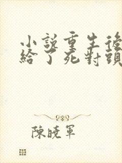 小说重生后我嫁给了死对头