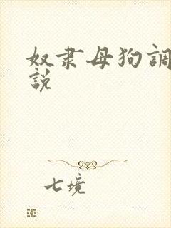 奴隶母狗调教小说