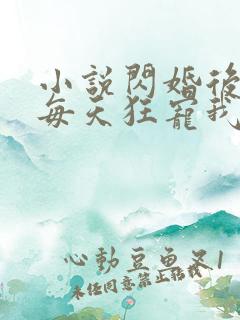 小说闪婚后大叔每天狂宠我完整版