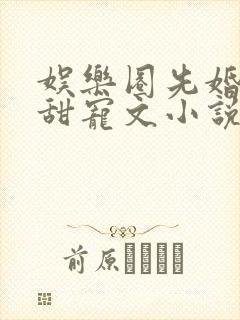 娱乐圈先婚后爱甜宠文小说