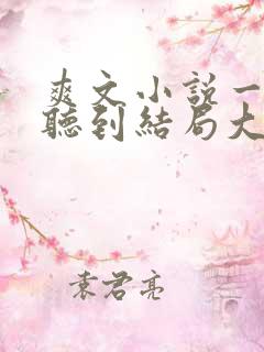 爽文小说一口气听到结局大女主