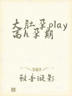 大肚孕play高h孕期