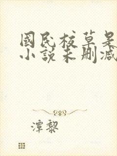 国民校草是女生小说未删减版