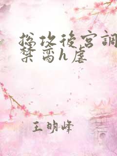 总攻后宫调教成禁脔h虐