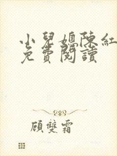 小儿媳陈红全文免费阅读