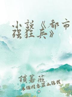 小说《都市之最强狂兵》