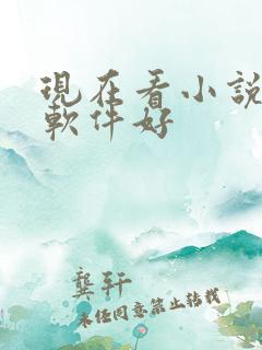 现在看小说什么软件好